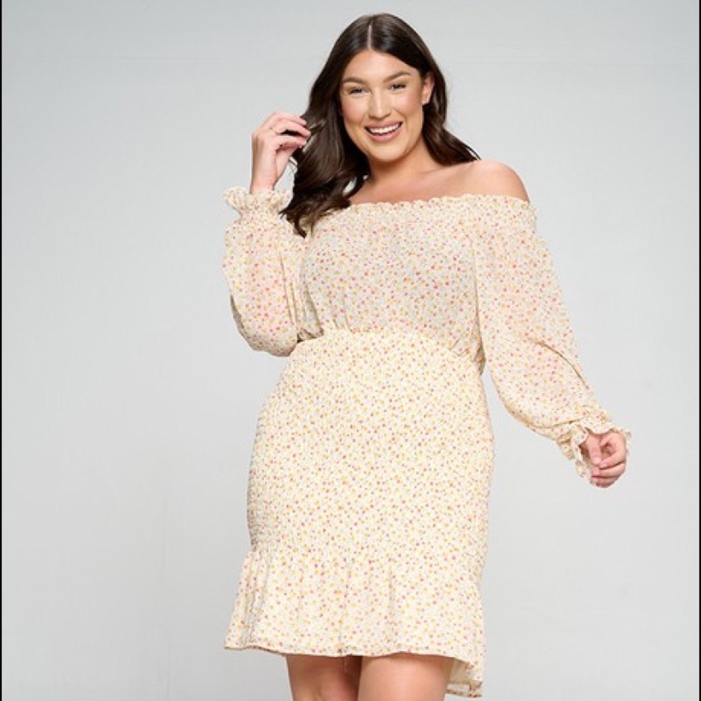 Ditsy Flower Print Smocking Dress